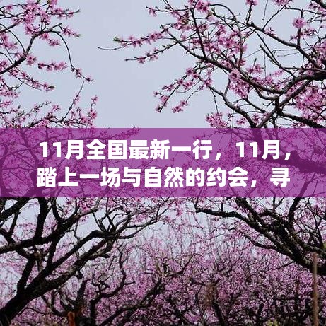 11月踏自然之旅，內(nèi)心的桃花源探尋記