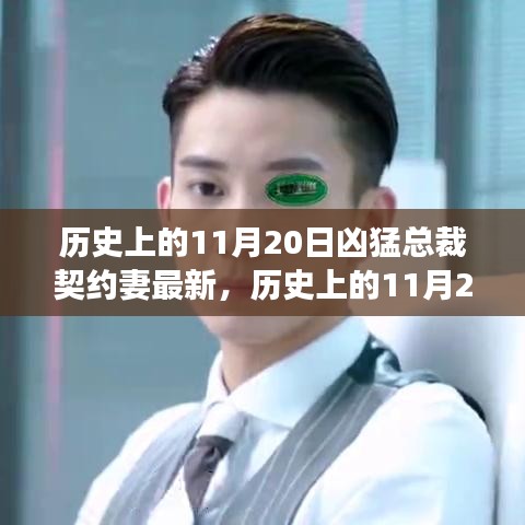 歷史上的11月20日，契約妻文化與兇猛總裁現(xiàn)象的深度解讀
