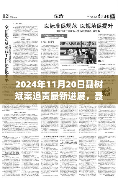聶樹(shù)斌案追責(zé)最新進(jìn)展深度解析，2024年11月20日追責(zé)進(jìn)展及評(píng)測(cè)