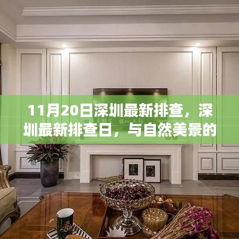 深圳最新排查日，自然美景中的內(nèi)心寧靜之旅