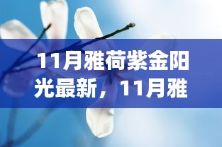 第1304頁