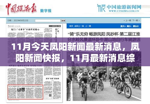 鳳陽新聞快報，11月最新消息綜述