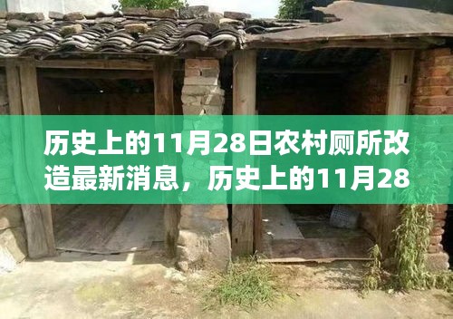 歷史上的11月28日，農(nóng)村廁所改造背后的勵(lì)志故事與變革力量最新消息
