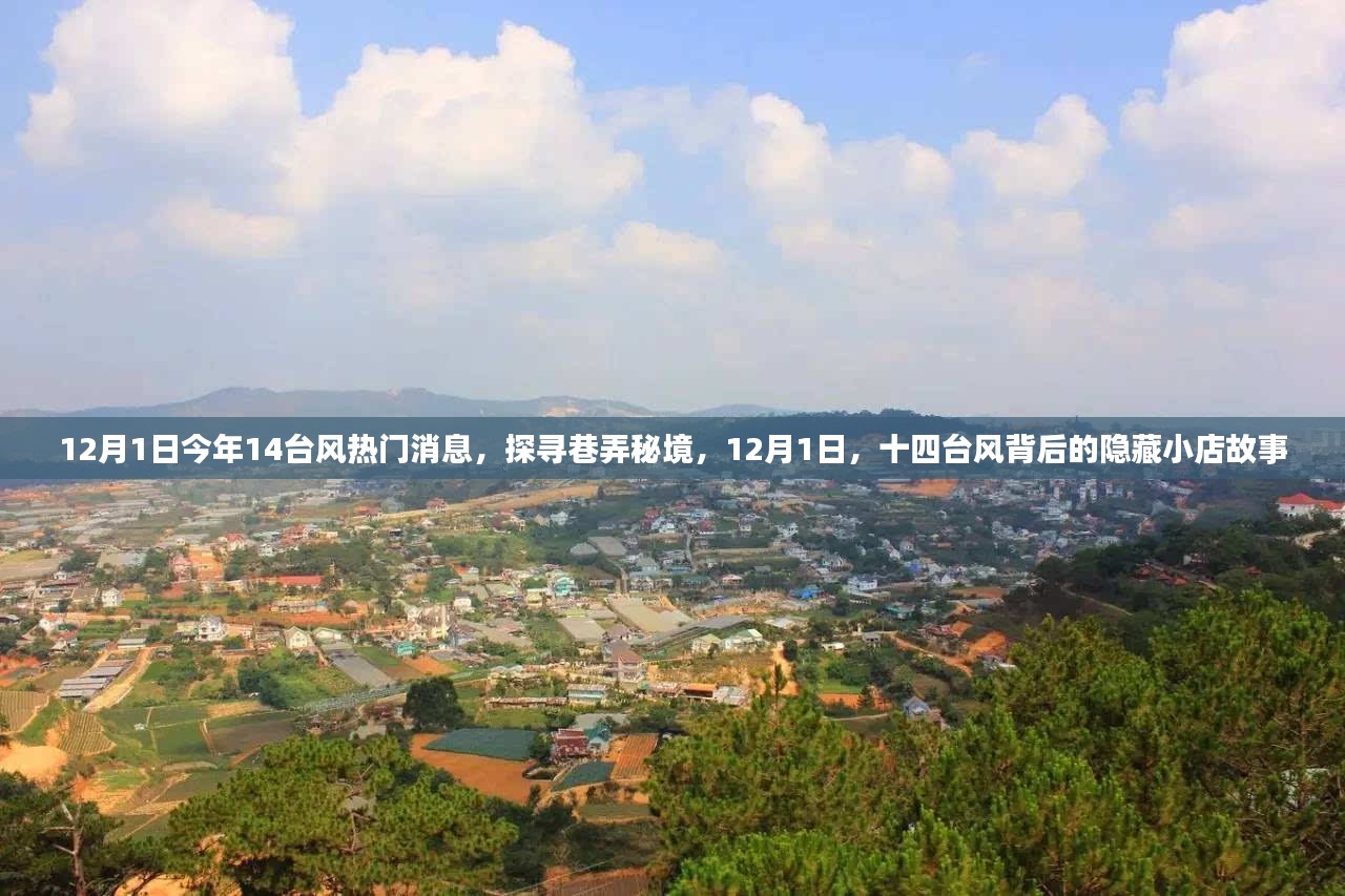 揭秘臺(tái)風(fēng)背后的隱藏小店故事，探尋巷弄秘境，臺(tái)風(fēng)熱門消息一覽