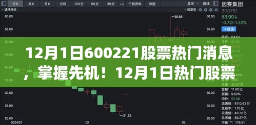 揭秘股市風(fēng)云，以600221股票為例，洞悉股市動(dòng)態(tài)與先機(jī)