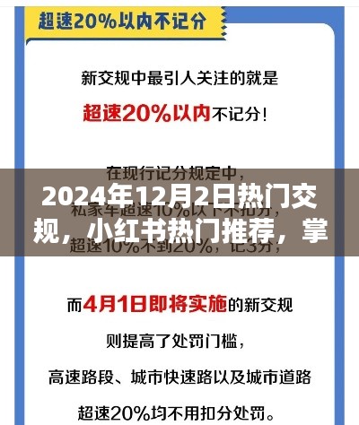 2024年交規(guī)新動態(tài)與熱門推薦，小紅書指南助你出行必備