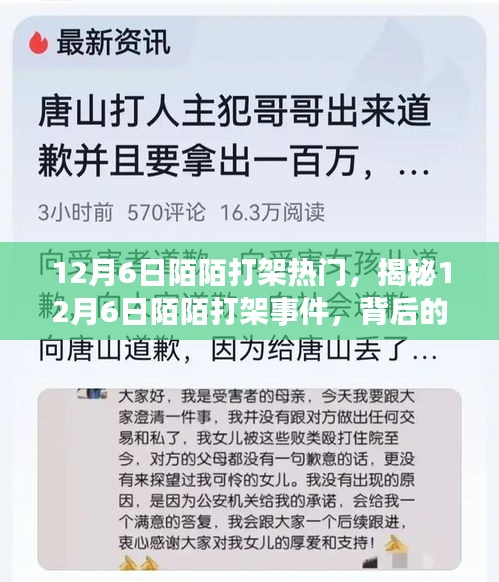 揭秘，12月6日陌陌打架事件背后的原因與影響熱議風(fēng)潮