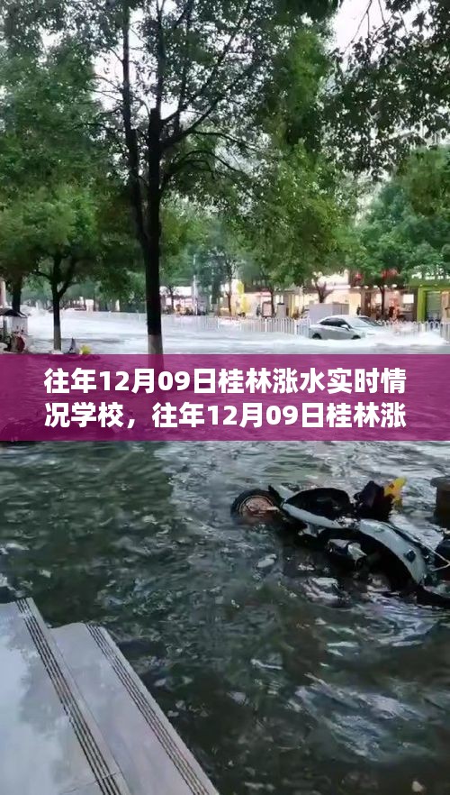 往年12月09日桂林漲水實時情況及學(xué)校應(yīng)對指南，保障學(xué)生安全無憂