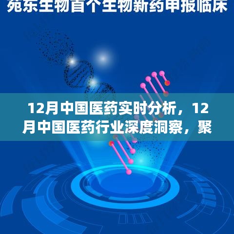 聚焦實時分析，探尋中國醫(yī)藥行業(yè)深度洞察與發(fā)展之路