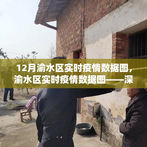 渝水區(qū)實(shí)時(shí)疫情數(shù)據(jù)圖深度解析，十二月疫情走勢(shì)分析