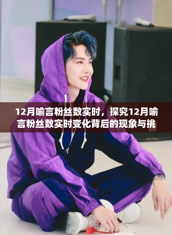 探究喻言粉絲數(shù)實時變化背后的現(xiàn)象與挑戰(zhàn)，12月粉絲增長分析