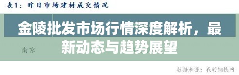 金陵批發(fā)市場行情深度解析，最新動態(tài)與趨勢展望