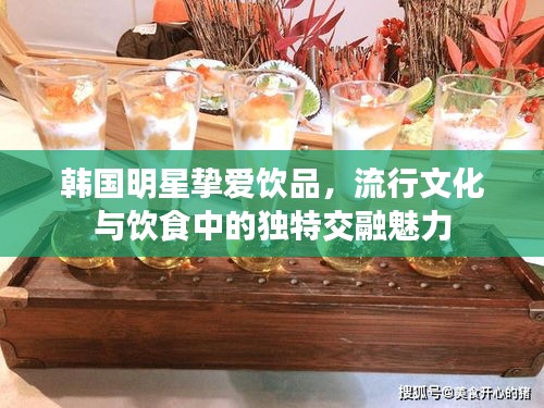 韓國(guó)明星摯愛(ài)飲品，流行文化與飲食中的獨(dú)特交融魅力