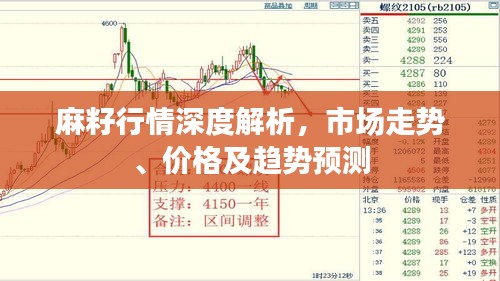 麻籽行情深度解析，市場走勢、價格及趨勢預測