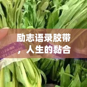 勵(lì)志語錄膠帶，人生的黏合劑，引領(lǐng)你走向成功之路