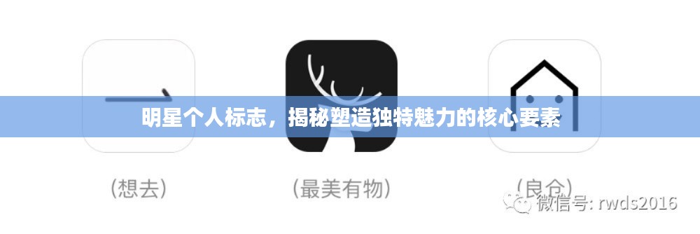 明星個人標(biāo)志，揭秘塑造獨(dú)特魅力的核心要素