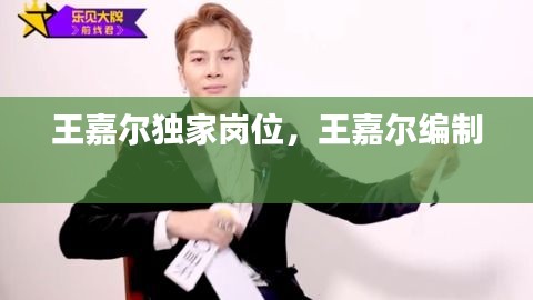 王嘉爾獨家崗位，王嘉爾編制 
