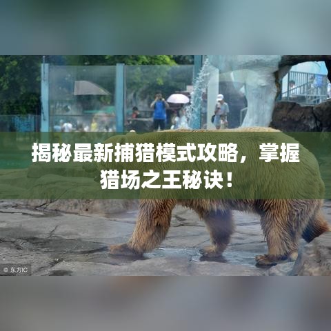第52頁