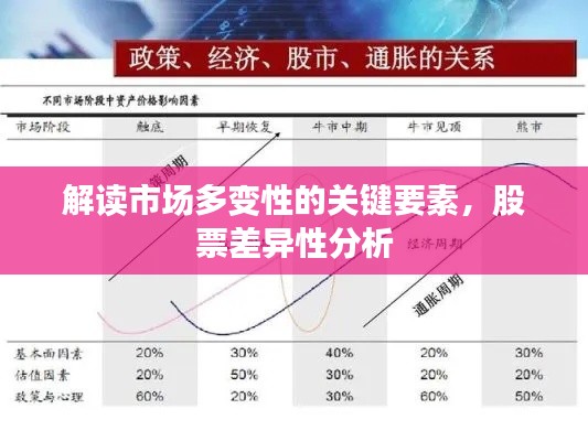 解讀市場(chǎng)多變性的關(guān)鍵要素，股票差異性分析