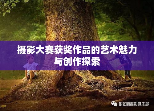 攝影大賽獲獎(jiǎng)作品的藝術(shù)魅力與創(chuàng)作探索