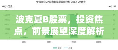 波克夏B股票，投資焦點(diǎn)，前景展望深度解析