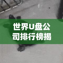 世界U盤公司排行榜揭曉，行業(yè)巨頭一覽無余！
