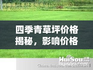 四季青草坪價格揭秘，影響價格的因素全解析