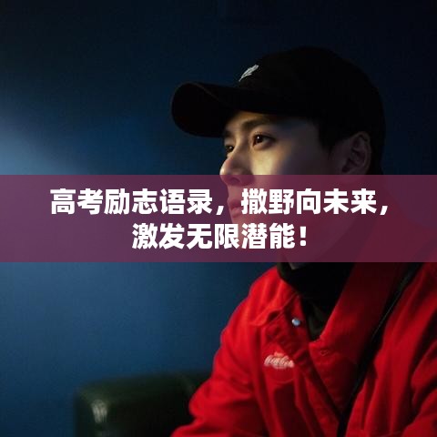 高考勵志語錄，撒野向未來，激發(fā)無限潛能！