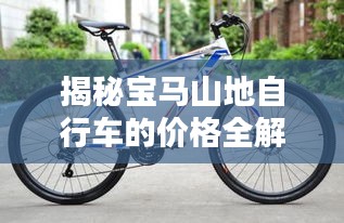 揭秘寶馬山地自行車的價格全解析！
