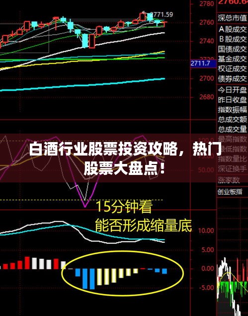 白酒行業(yè)股票投資攻略，熱門股票大盤點！