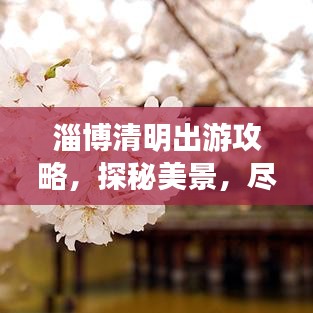 淄博清明出游攻略，探秘美景，盡享文化盛宴！