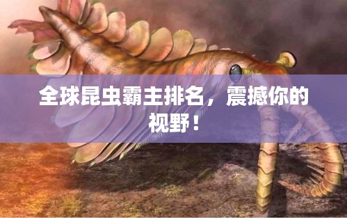 全球昆蟲霸主排名，震撼你的視野！