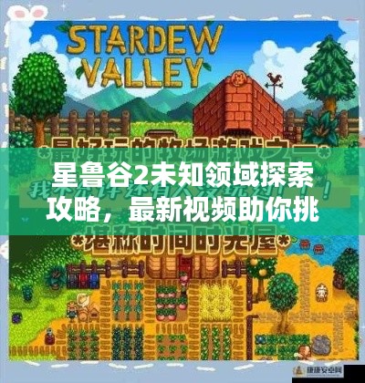 星魯谷2未知領(lǐng)域探索攻略，最新視頻助你挑戰(zhàn)極限！