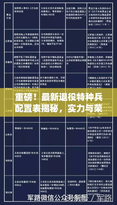 重磅！最新退役特種兵配置表揭秘，實(shí)力與榮耀并存