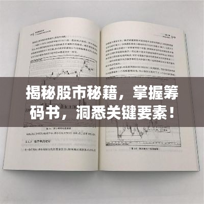 揭秘股市秘籍，掌握籌碼書，洞悉關(guān)鍵要素！