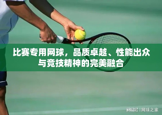 比賽專用網(wǎng)球，品質(zhì)卓越、性能出眾與競(jìng)技精神的完美融合