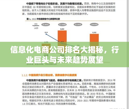信息化電商公司排名大揭秘，行業(yè)巨頭與未來趨勢展望