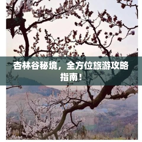 杏林谷秘境，全方位旅游攻略指南！