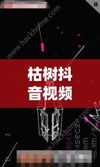 枯樹抖音視頻，探索最新版視頻世界，體驗獨特魅力