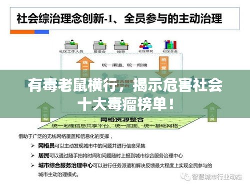有毒老鼠橫行，揭示危害社會十大毒瘤榜單！
