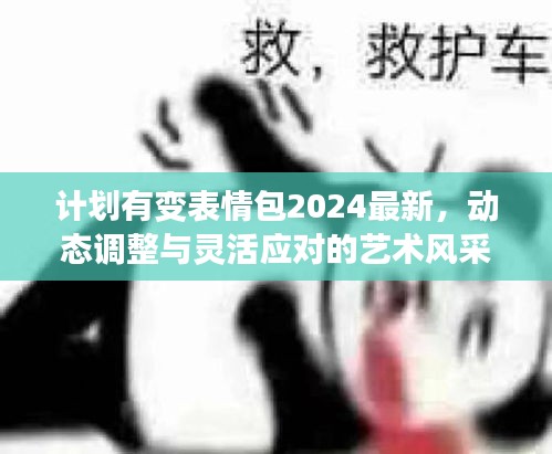 計(jì)劃有變表情包2024最新，動(dòng)態(tài)調(diào)整與靈活應(yīng)對(duì)的藝術(shù)風(fēng)采