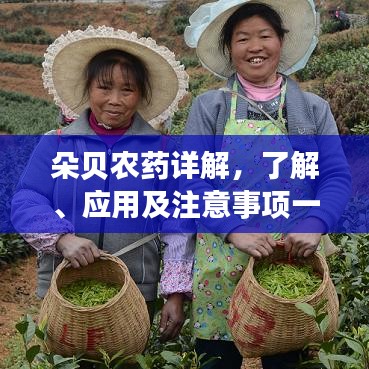 朵貝農(nóng)藥詳解，了解、應(yīng)用及注意事項(xiàng)一網(wǎng)打盡
