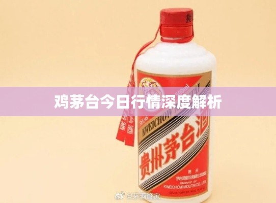 雞茅臺(tái)今日行情深度解析