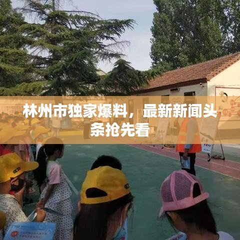 林州市獨家爆料，最新新聞頭條搶先看