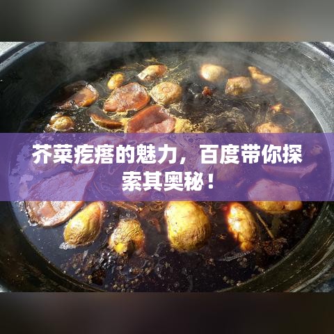 芥菜疙瘩的魅力，百度帶你探索其奧秘！