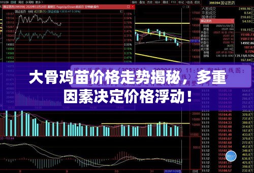 大骨雞苗價格走勢揭秘，多重因素決定價格浮動！
