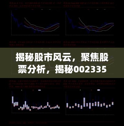 揭秘股市風(fēng)云，聚焦股票分析，揭秘002335股票動態(tài)與前景展望