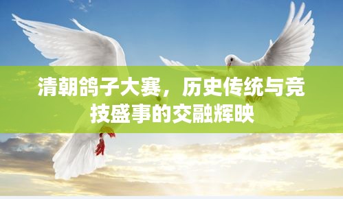 第31頁