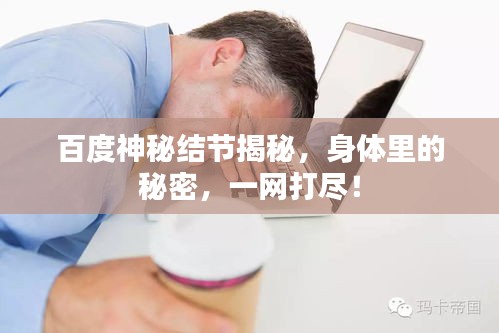 百度神秘結(jié)節(jié)揭秘，身體里的秘密，一網(wǎng)打盡！