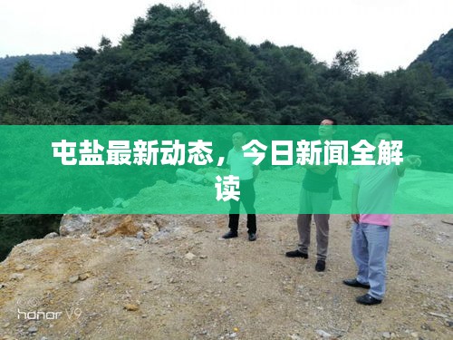 屯鹽最新動態(tài)，今日新聞全解讀